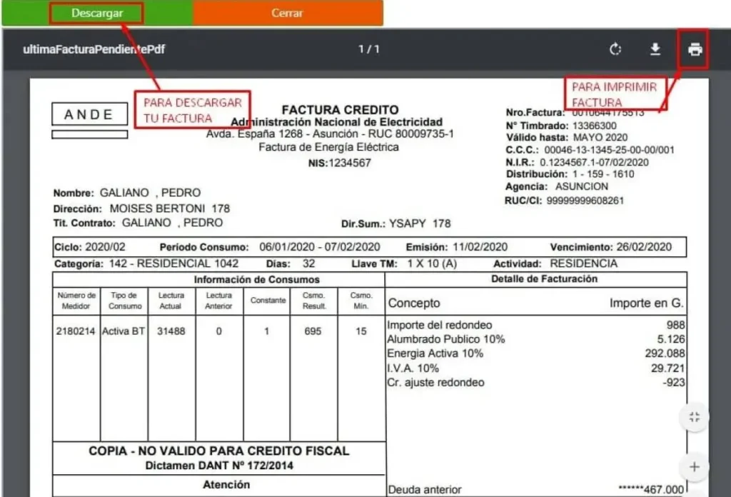 Captura del PDF de factura ANDE señalando el NIS